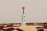 Bakhtiari - Lori Persian Carpet 503x153 - Picture 8