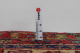 Ardebil - Azari Persian Carpet 300x122 - Picture 8