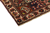 Bakhtiari - Garden Persian Carpet 293x158 - Picture 3