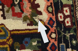 Bakhtiari Persian Carpet 279x207 - Picture 17