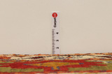 Qashqai - Gabbeh Persian Carpet 245x153 - Picture 8