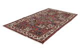 Bakhtiari - Garden Persian Carpet 292x162 - Picture 2